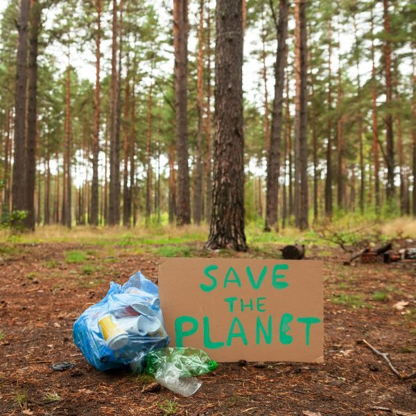 daria-trofimova-h3X8vVNRMGk-unsplash impact of pollution on our planet
