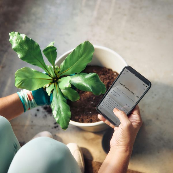 microsoft-copilot-o2MBk6J-Iqc-unsplash