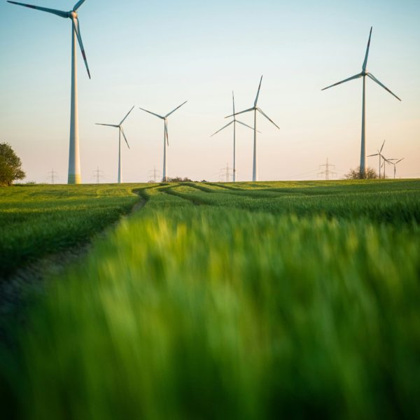 moritz-lange-sGGFcc7wrp4-unsplash impact of pollution on our planet